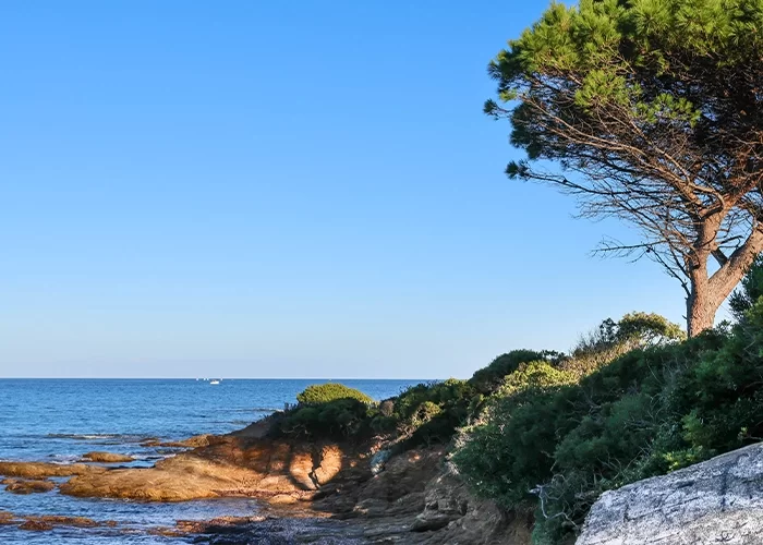 magasin de v&eacute;lo Embrun