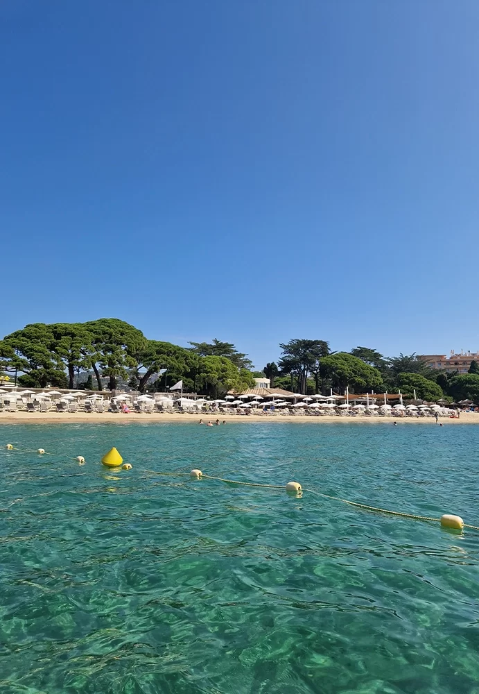 intersport sainte maxime