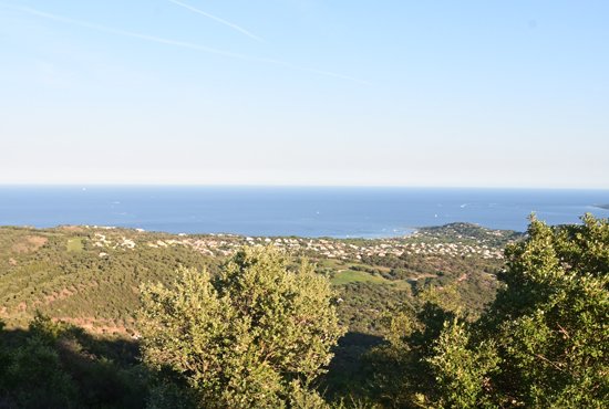 intersport sainte maxime
